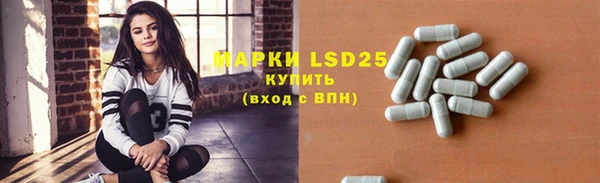 a pvp Аркадак