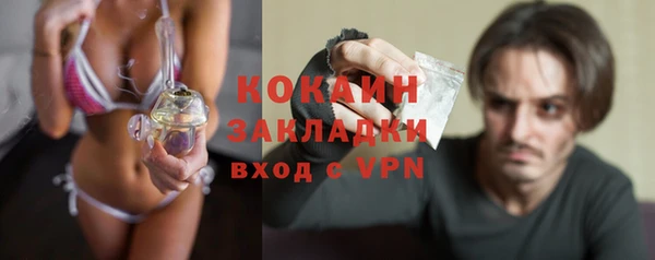 твердый Арсеньев