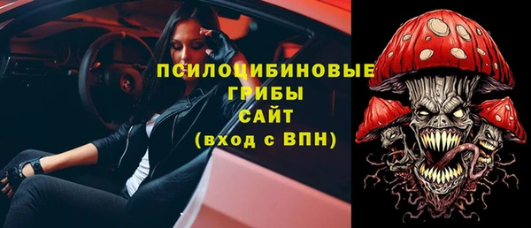 твердый Арсеньев