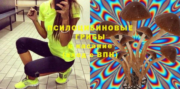 твердый Арсеньев