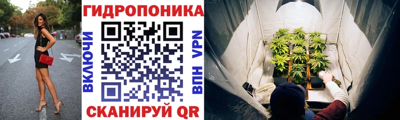 Канабис индика  Тавда 
